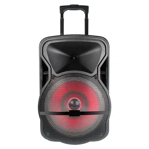 PARLANTE INALAMBRICO FIESTA 12 KPB-370